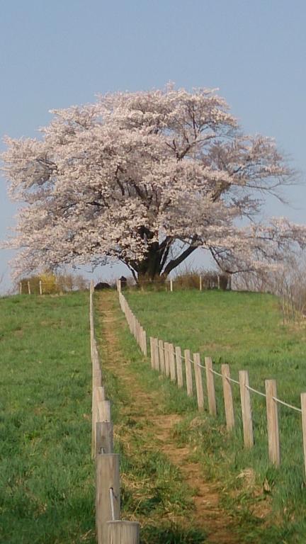 האצ'ימנטאי Active Resorts Iwate Hachimantai מראה חיצוני תמונה
